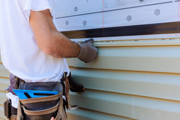 Affordable Siding Replacement solutions in South Bloomingville, OH